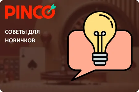 Советы для начинающих в Pinco