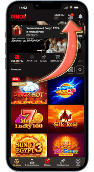 Pinco Личный кошелек