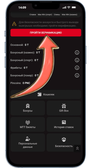 Pinco Верификация